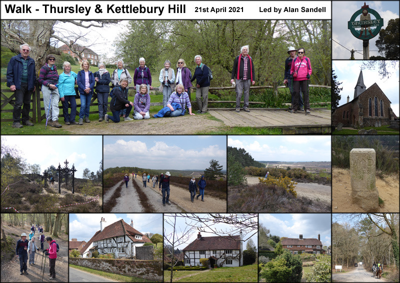 Walk - Thursley & Kettlebury Hill - 21st April 2021